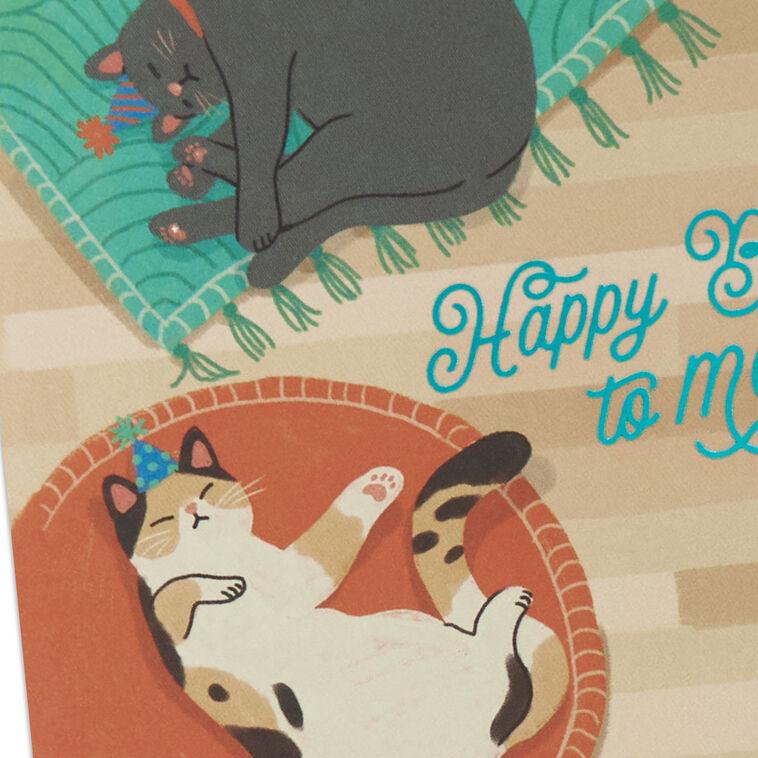 Hallmark Find Your Sunny Spot Birthday Card From The Cat