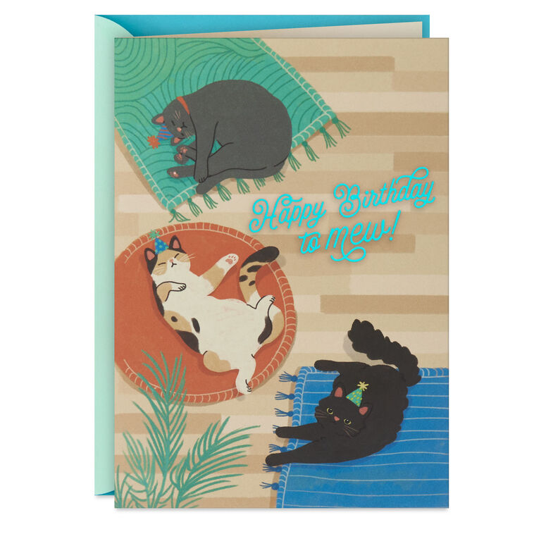 hallmark Find Your Sunny Spot Birthday Card From the Cat