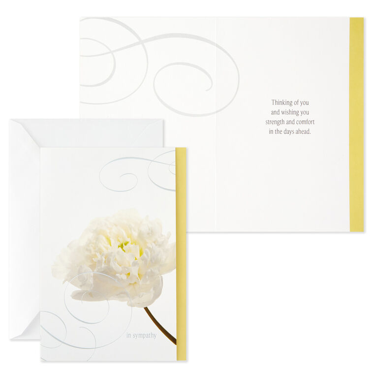 Hallmark Flower Photos Assorted Sympathy Cards Box Of 12