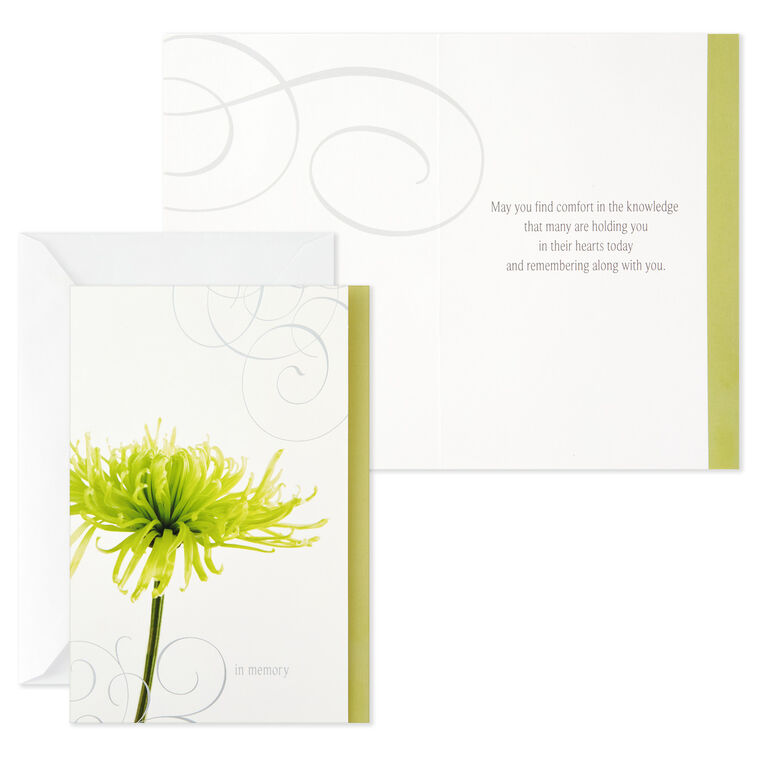Hallmark Flower Photos Assorted Sympathy Cards Box Of 12