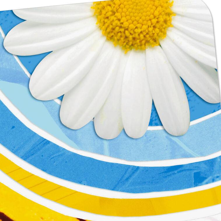 Hallmark Flowers And Butterfly Wing Collage Blank Card