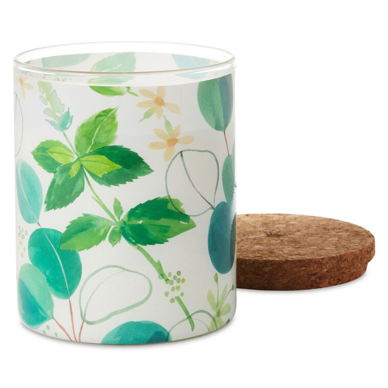 Hallmark Fresh Mint And Eucalyptus Scented 2-Wick Jar Candle 14.5 Oz