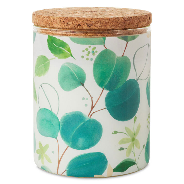 hallmark Fresh Mint and Eucalyptus Scented 2-Wick Jar Candle 14.5 oz