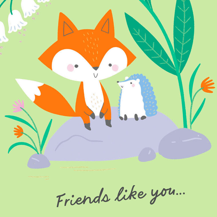 Hallmark Friends Like You Are A Blessing Friendship Card
