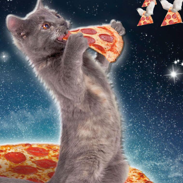 Hallmark Galactic Cat With Pizza Funny Birthday Card