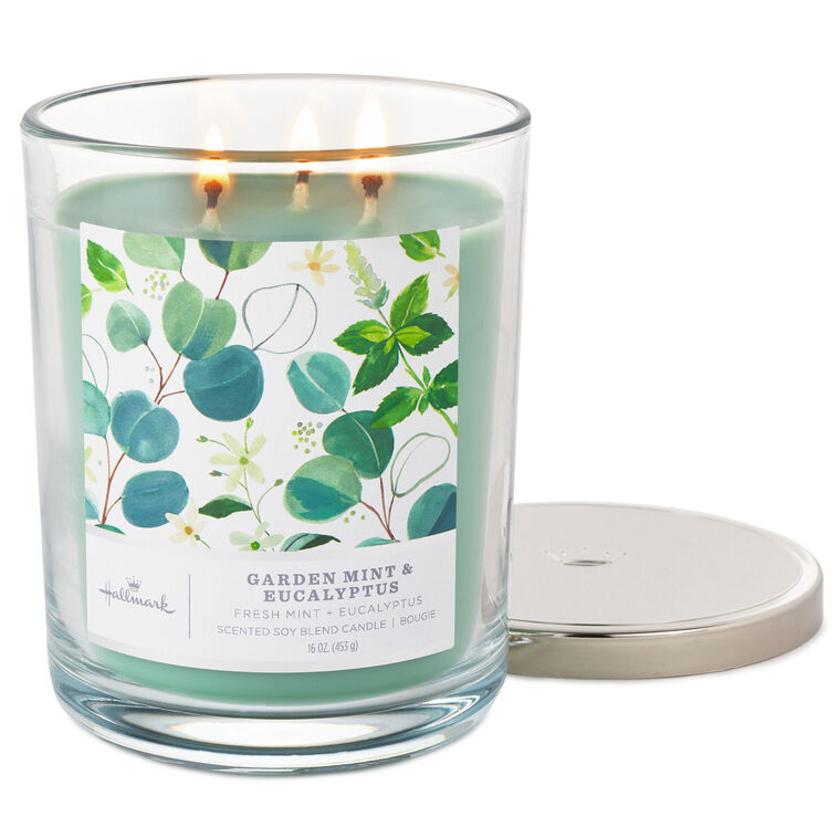 Hallmark Garden Mint And Eucalyptus 3-Wick Jar Candle 16 Oz