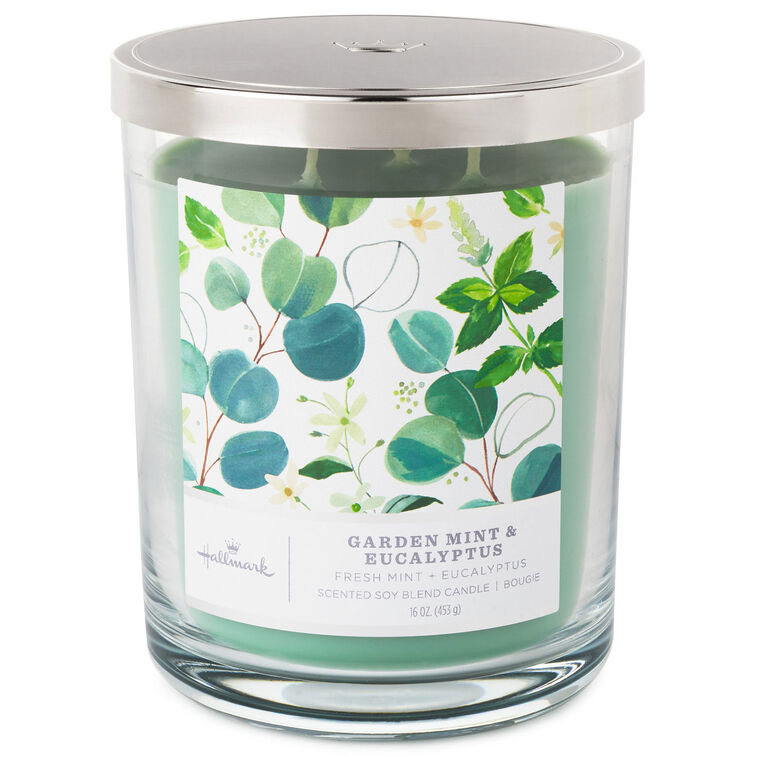 hallmark Garden Mint and Eucalyptus 3-Wick Jar Candle 16 oz