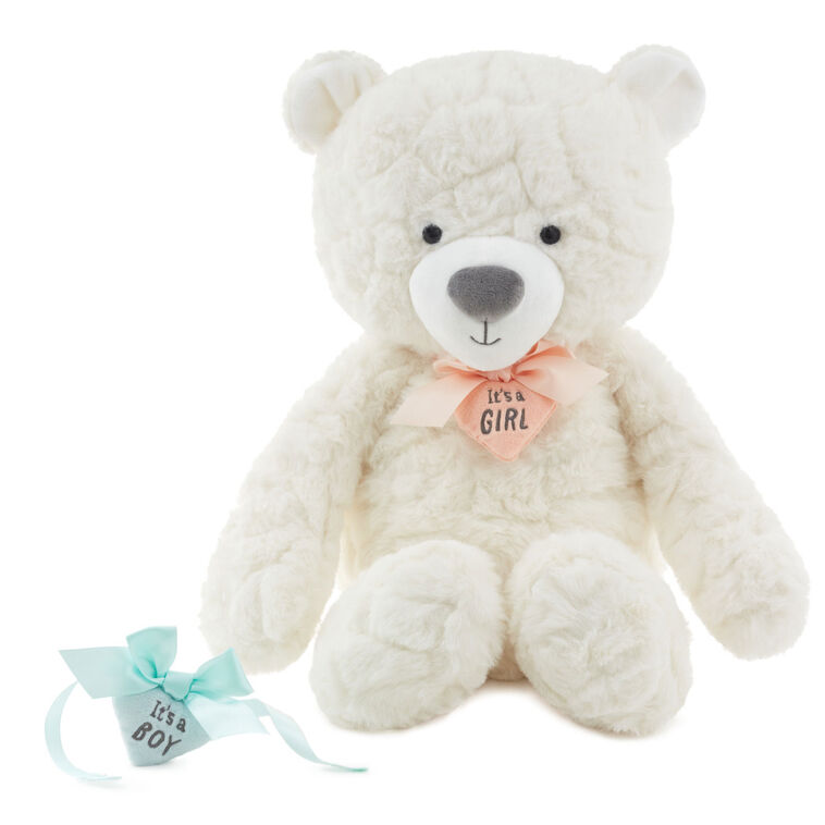 Hallmark Gender Reveal Teddy Bear Plush With Ribbons