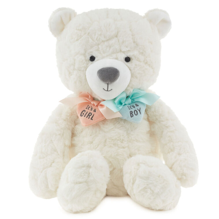 hallmark Gender Reveal Teddy Bear Plush With Ribbons