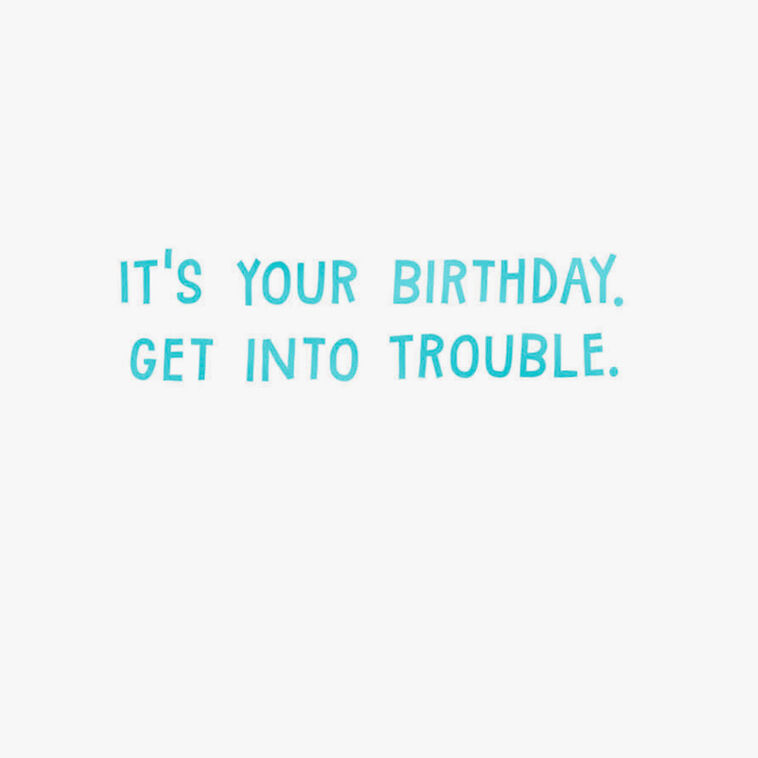 Hallmark Get Into Trouble Cake-Stealing Dogs Gift Card Greeting Funny Birthday Card