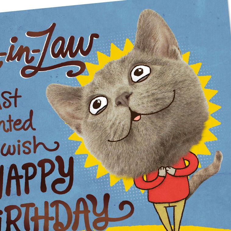 Hallmark Glad Our Family Hasn't Changed You Funny Birthday Card For Son-in-Law