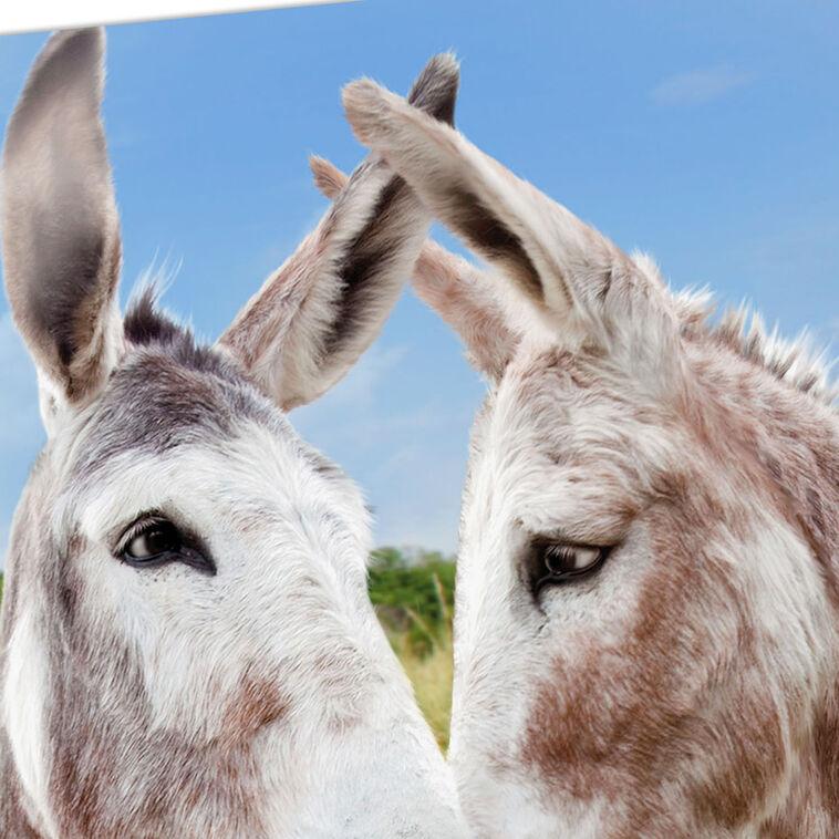 Hallmark Glad You're Still Mine Donkey Funny Romantic Anniversary Card