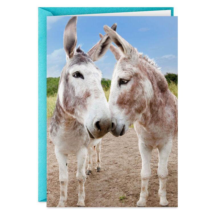 hallmark Glad You're Still Mine Donkey Funny Romantic Anniversary Card