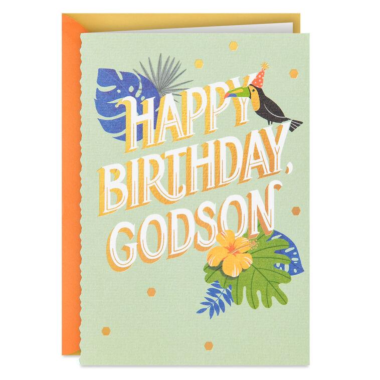 hallmark Godson You Own a Unique Place in My Life Birthday Card