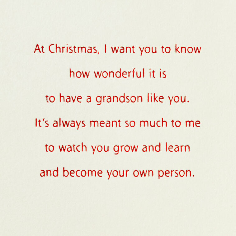 Hallmark Grandson Many Special Memories You've Given Me Christmas Card