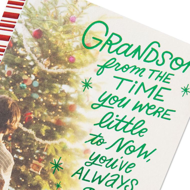 Hallmark Grandson Proud Of The Good Person You Are Christmas Card