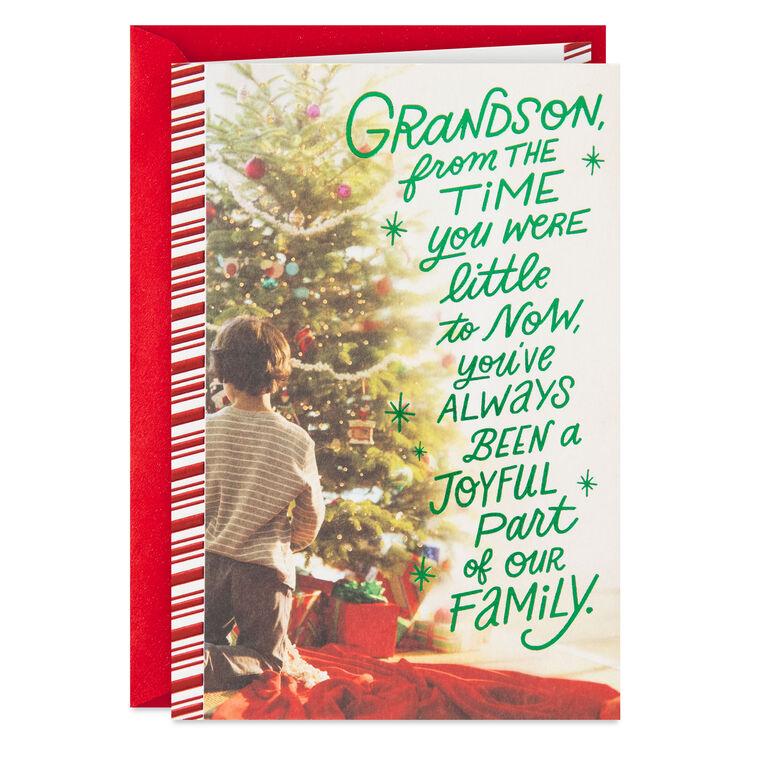 hallmark Grandson Proud of the Good Person You Are Christmas Card