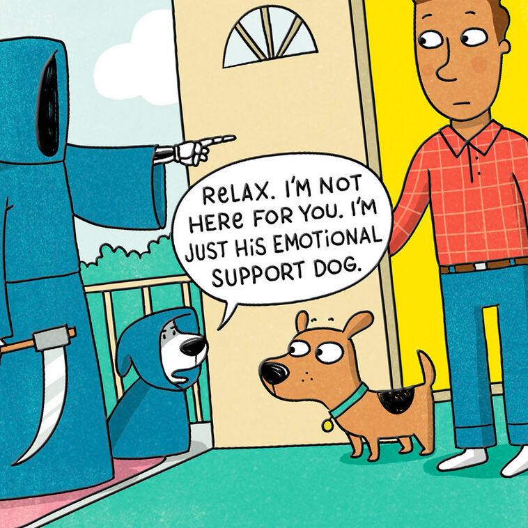 Hallmark Grim Reaper And His Emotional Support Dog Funny Birthday Card