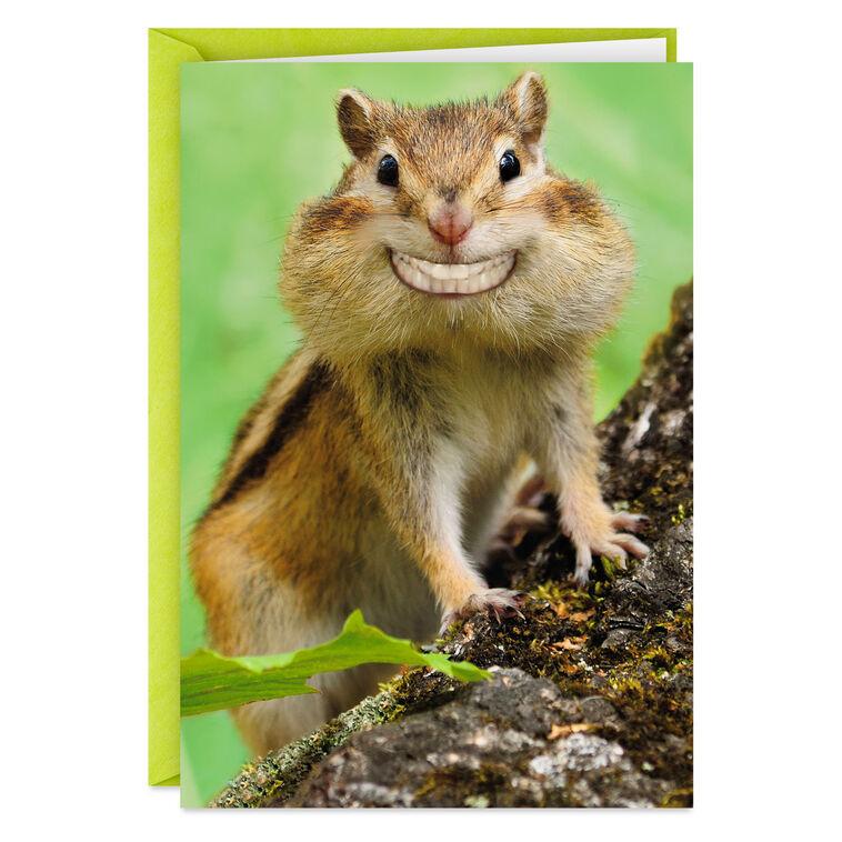 hallmark Grinning Chipmunk Funny Congratulations Card