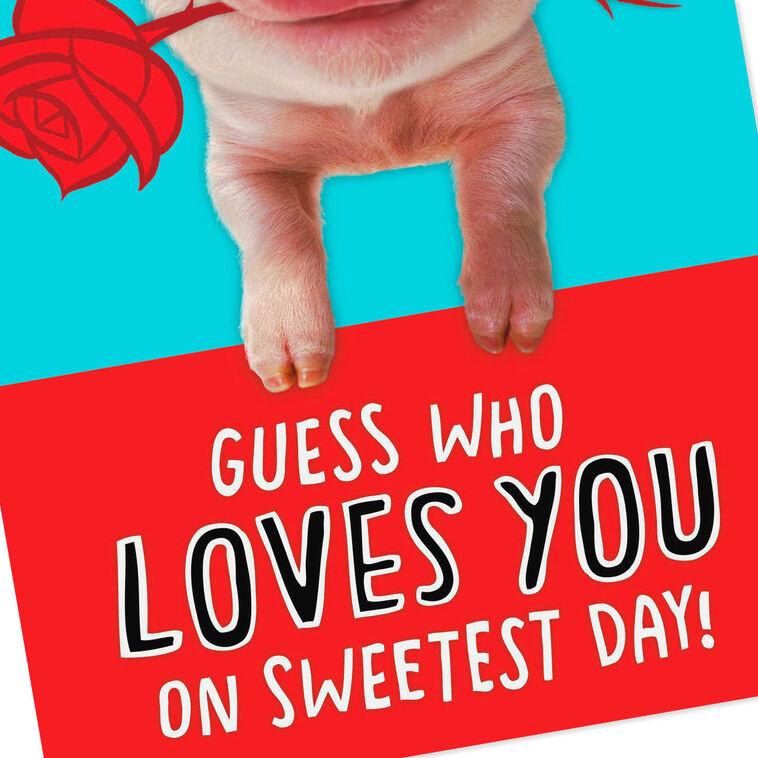Hallmark Guess Who Loves You Funny Sweetest Day Card