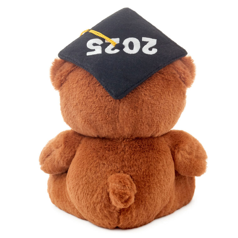 Hallmark 2025 Graduation Bear Plush 8"