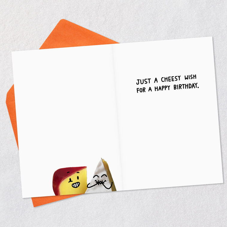 Hallmark A Cheesy Wish Funny Birthday Card