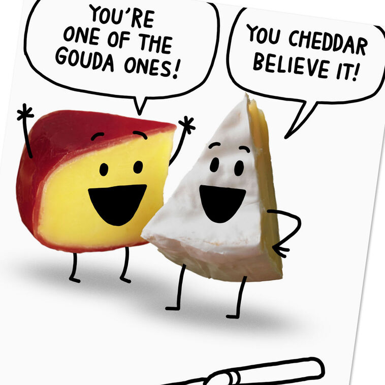 Hallmark A Cheesy Wish Funny Birthday Card