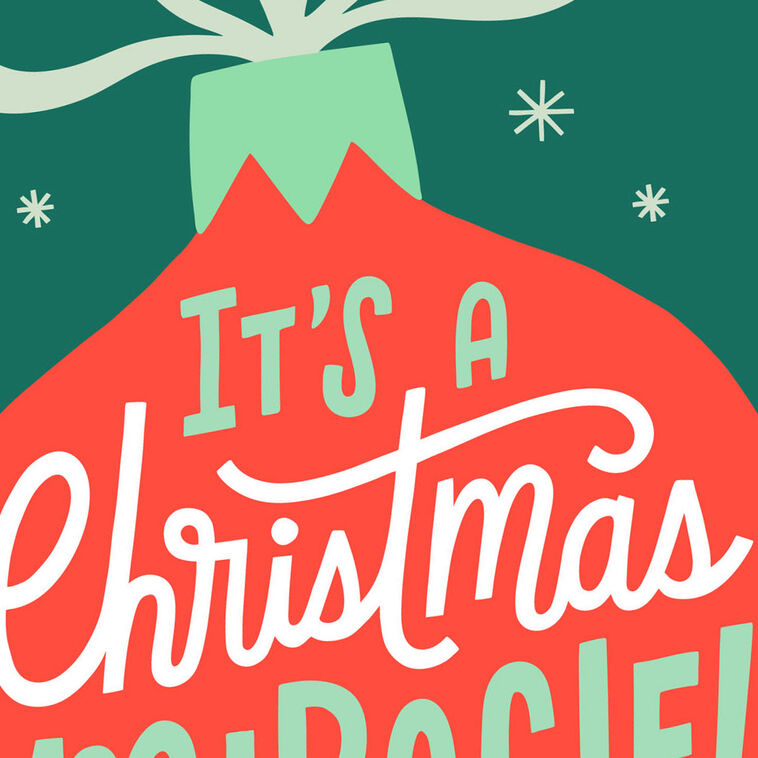 Hallmark A Christmas Miracle Funny Christmas Card