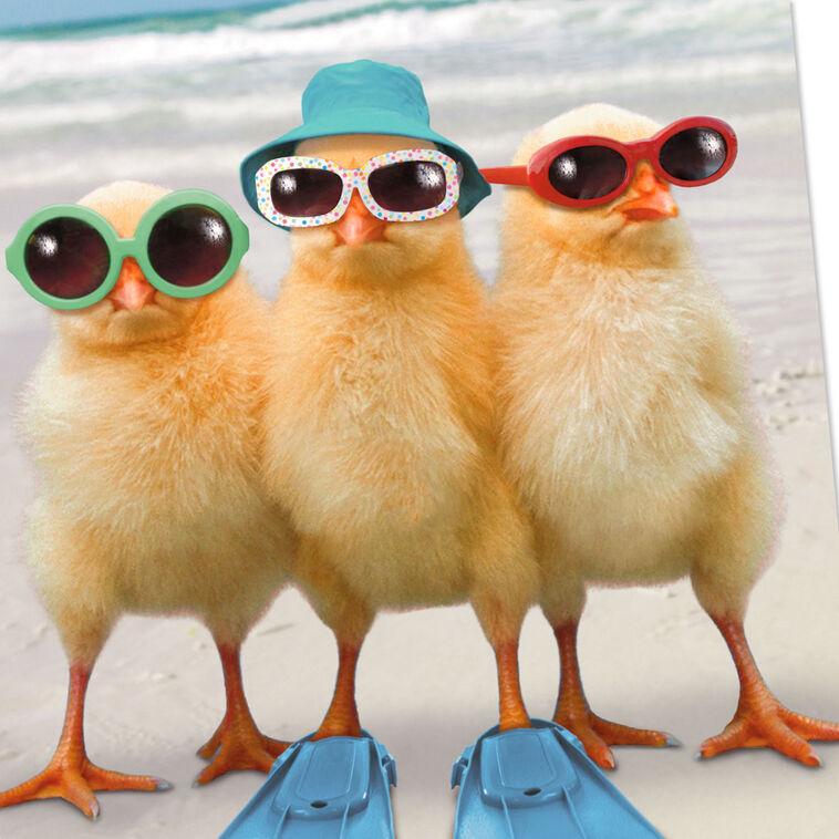 Hallmark A Few Warm Fuzzies Funny Get Well Card