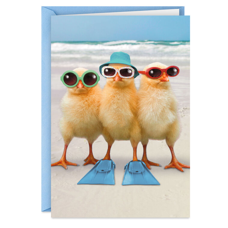 hallmark A Few Warm Fuzzies Funny Get Well Card