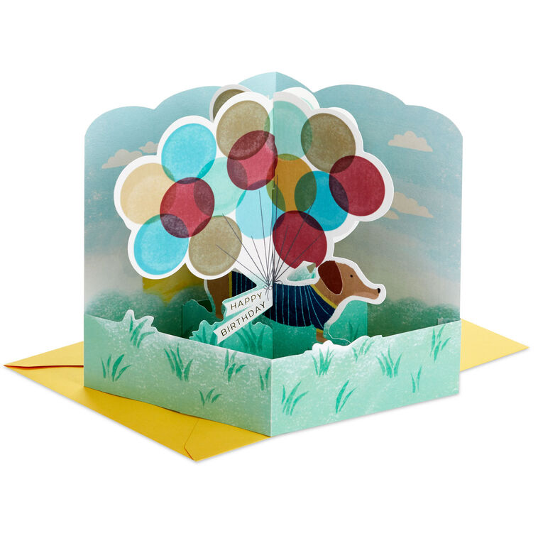 hallmark All Day Happy 3D Pop-Up Birthday Card
