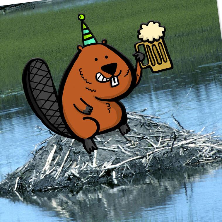 Hallmark Another Dam Birthday Funny Birthday Card