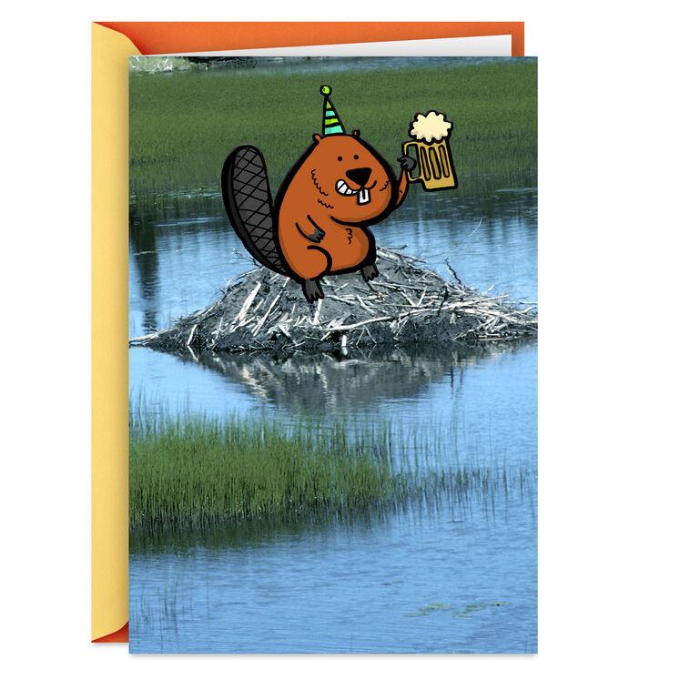 hallmark Another Dam Birthday Funny Birthday Card