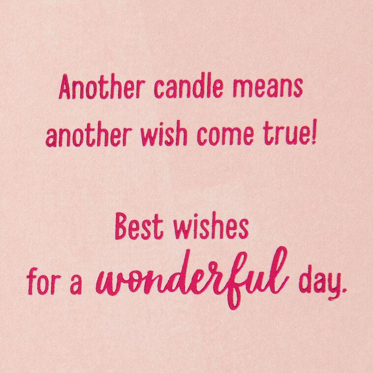 Hallmark Another Wish Come True Birthday Card
