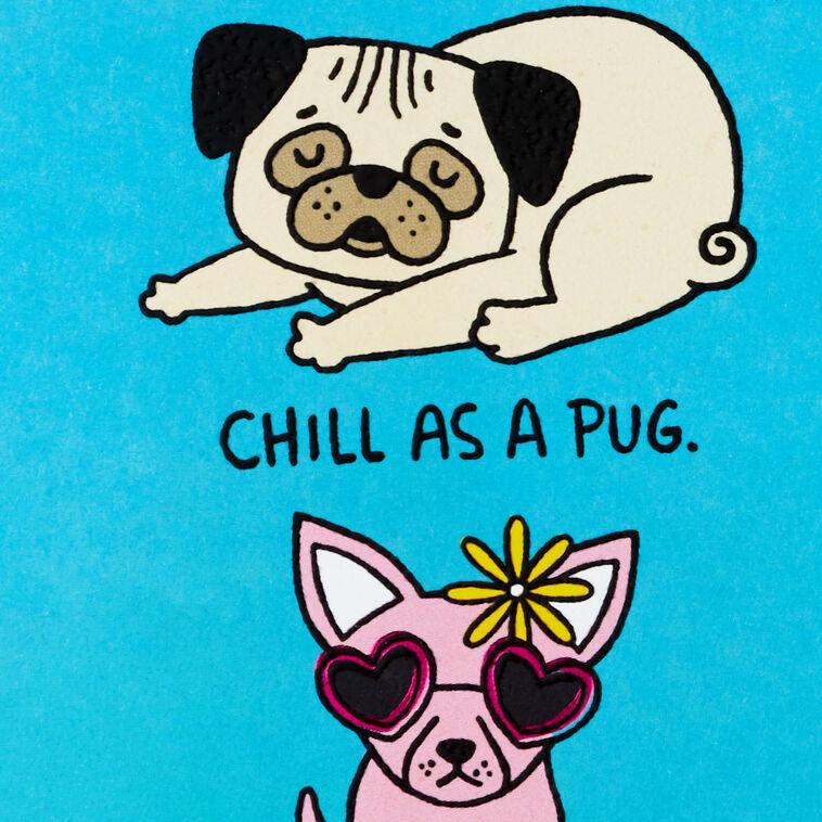 Hallmark Baddest Bitch Around Funny Birthday Card