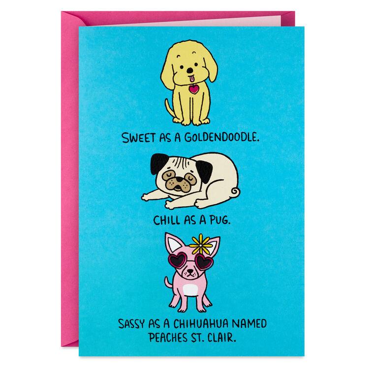 hallmark Baddest Bitch Around Funny Birthday Card