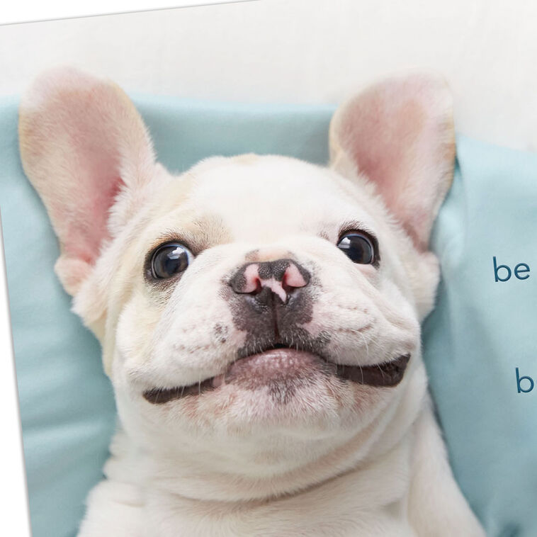 Hallmark Be Comfy Be Cozy Get Well Card