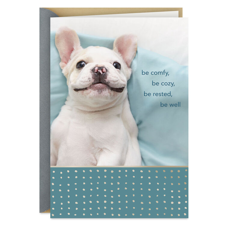 hallmark Be Comfy Be Cozy Get Well Card
