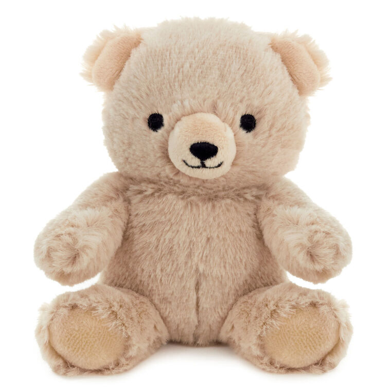 Hallmark Bear Plush Gift Card Holder