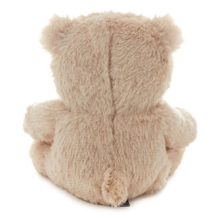 Hallmark Bear Plush Gift Card Holder