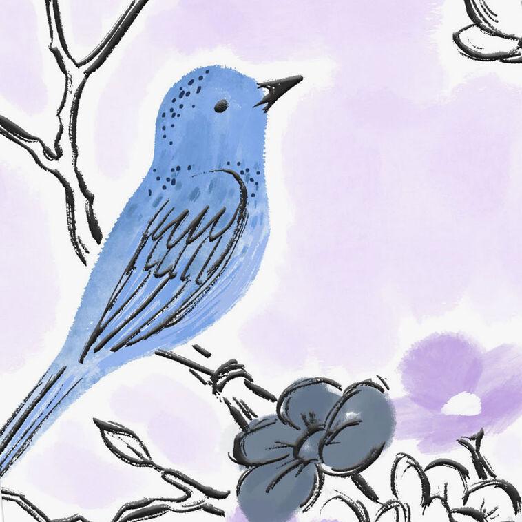 Hallmark Bluebird On Flowering Branch Blank Card