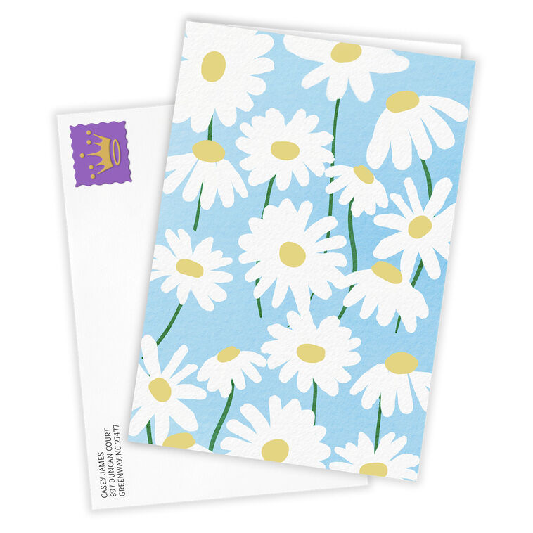 Hallmark Bold Daisies Blank Custom Card