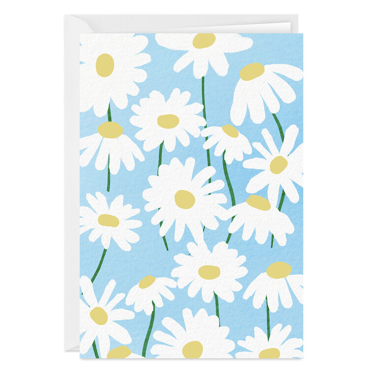 hallmark Bold Daisies Blank Custom Card