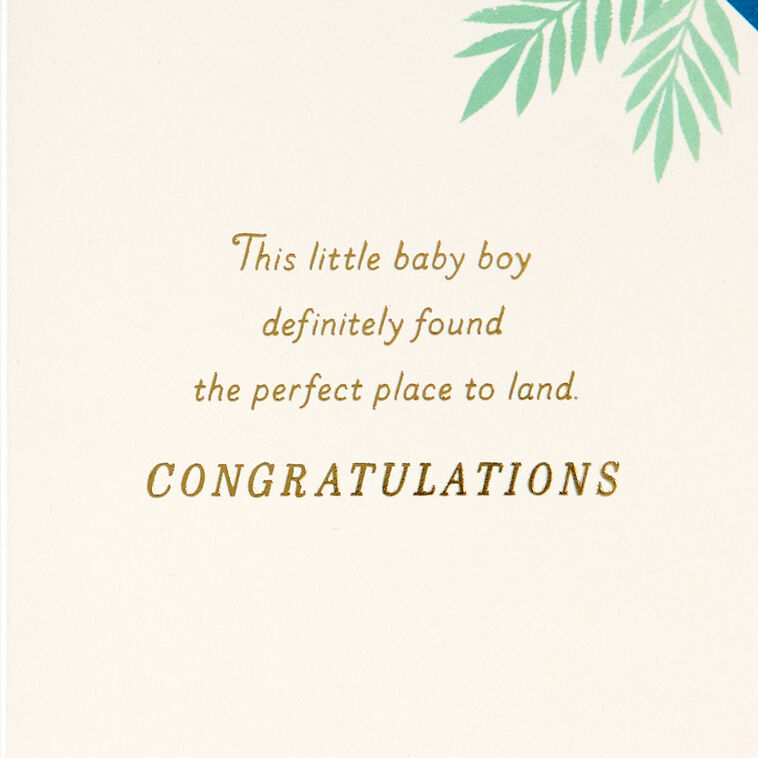 Hallmark Bundle Of Wonder New Baby Boy Card