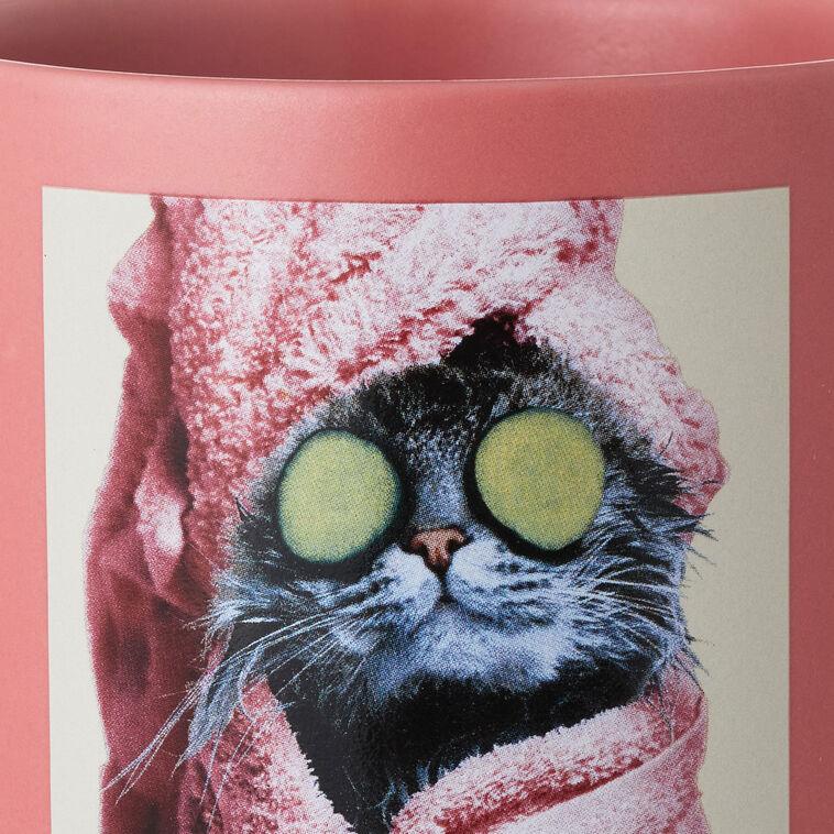 Hallmark Cat Spa Day Funny Mug 16 Oz