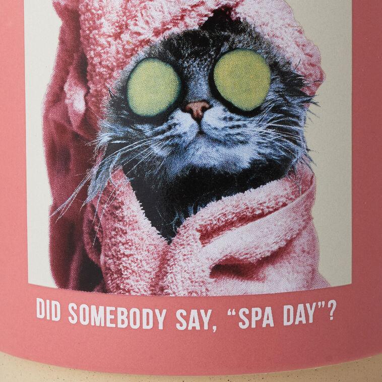 Hallmark Cat Spa Day Funny Mug 16 Oz