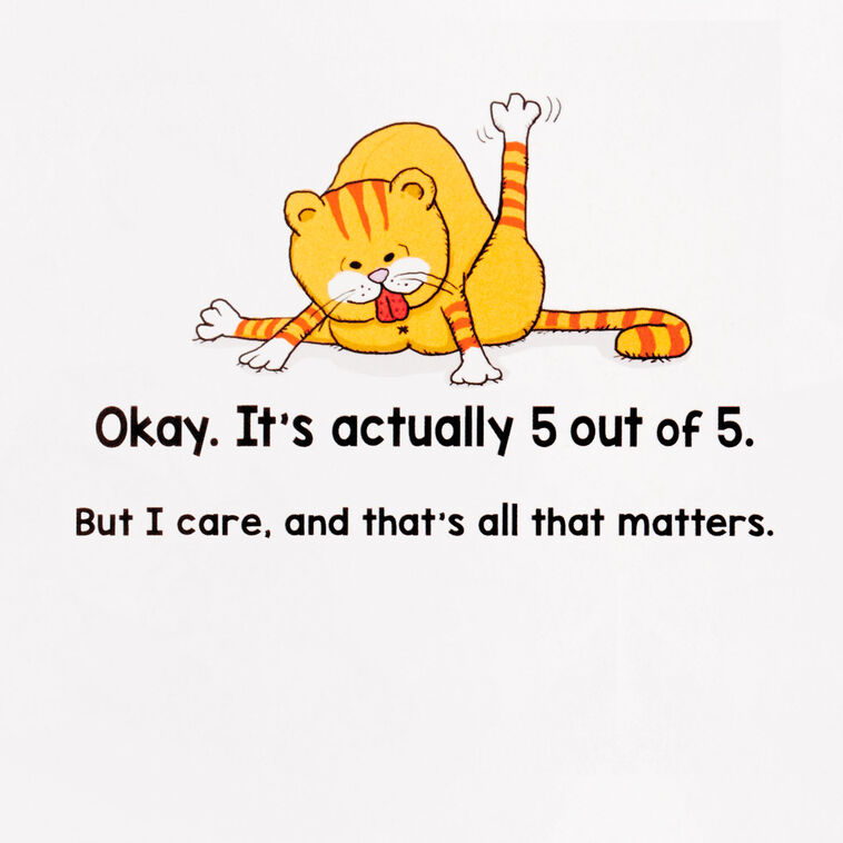 Hallmark Cats Don't Care Funny Birthday Card