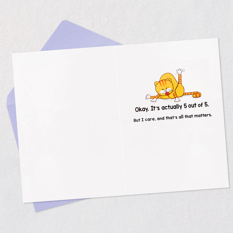 Hallmark Cats Don't Care Funny Birthday Card