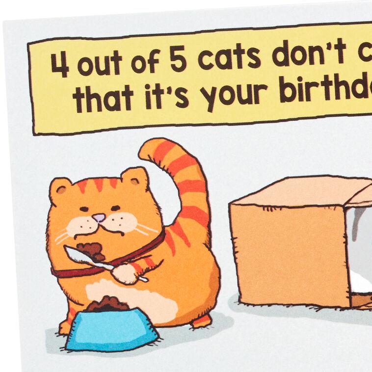 Hallmark Cats Don't Care Funny Birthday Card