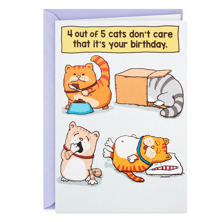 hallmark Cats Don't Care Funny Birthday Card
